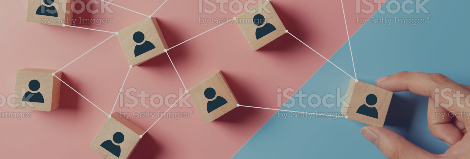 &nbsp;